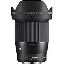 SIGMA 16mm F1.4 DC DN Eマウント 617bRNL++zL._AC_UL210_SR210,